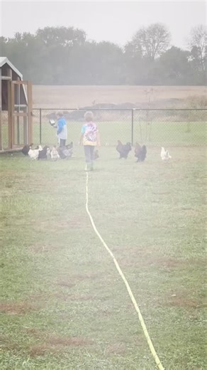 26 reactions | Even a little drizzle can’t stop our Elementary crew. ️ Caring for our chickens isn’t just a chore — it’s a lesson in empathy, responsibility, and what it means to nurture another living thing. Experiences like this are what make learning at Wildwood real. #WildwoodMontessori #YearOfTheHelpers #GrowWild #OutdoorLearning #MontessoriInAction #microschool | Tisha Sparks | Facebook
