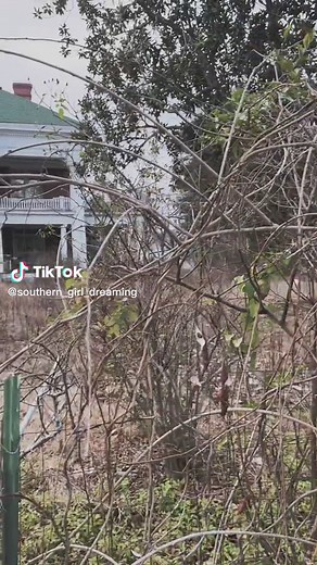 Abandoned Mansion in South Carolina #abandonedhouse #abandonedhome #abandonedplace #southerngothic #abandonedmansion #abandonedafterdark #abandonedworld #abandonedbuilding #urbexworld #urbexexplorer #urbexgirl #urbex #rurex #explorer #historic