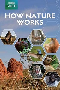 How Nature Works (2012) - TV Show