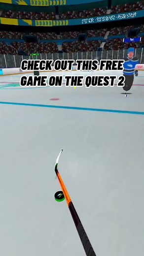 Immersive Hockey Experience in VR: Try Oculus Illusionis!