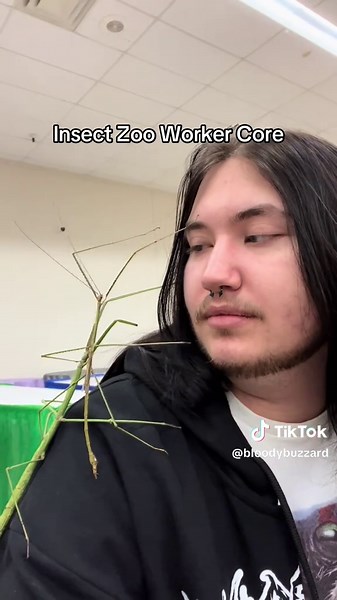 Funnier Insect Videos from the Entomology Work