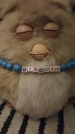 2005 Furby Sings 'Twinkle Twinkle Little Star'