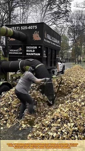 Fall Yard Cleanup Skill Smart Technique for Landscaper Efficient Leaf Removal #workprocess