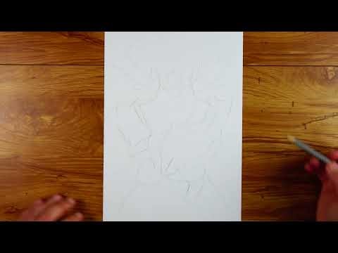 Drawing Beast Gohan in Real Time