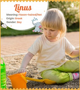 Linus Name Meaning, Origin, History, And Popularity