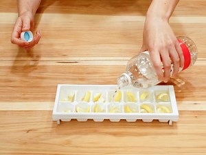 Smelly Garbage Disposal? Freshen It Up With These All-Natural Cleaning Cubes