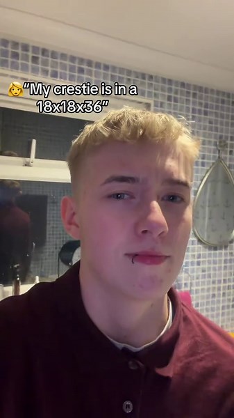 Optimal Tank Size for Crested Geckos