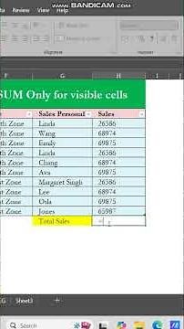 How to Sum Only Visible Cells in Excel After Applying a Filter | SUBTOTAL Function Tutorial.