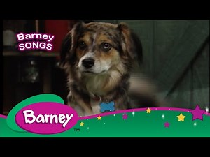 Barney | Where Is My DOG? | SONGS