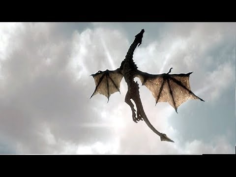 5 Dragons Caught On Camera & Spotted In Real Life