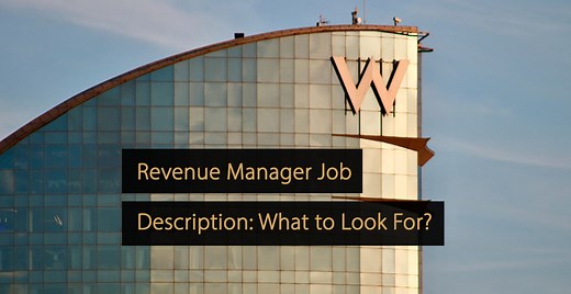 Revenue Manager Job Description: What to Look For?