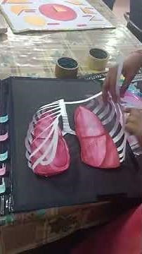 3 D Model of Respiratory System । Arts Crafts and Puppetry । Lungs and its functions । Science model
