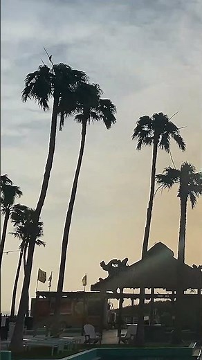 Best Pool at South Padre Island | Margaritaville Beach Resort Pool Tour - Beach Vibes