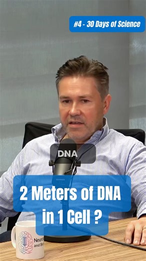 How is our DNA packed? Histone Modifications Explained