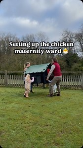 Spring is springing and it’s time for the chickens to go broody every few days 🐓😅. Two of the chicks that we hatched have grown up and now want little ones of their own 🥺 ( does this make up granchickrents? 👀😂) We separated them from the flock so they can warm their eggs in peace 😁 We actually filmed this a few weeks ago meaning chicks are due any day so expect some fluffy little bundles of sweetness over the next few days 🐣🤞🏼 #chickens #chicks #spring #uk #ukfamily #smallholding #famil