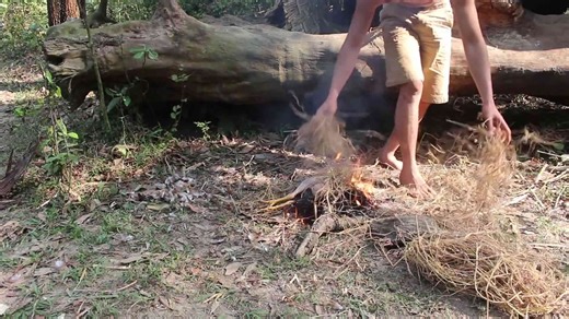 Primitive technology: Hunting wild chicken by primitive technology - Catch n cook!