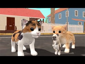 Funny Cat Adventures in the House! | Cat Simulator: Cat Sim Gameplay