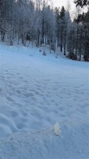 Joululahja inspiraatiota talven pukeutumiseen Kari Traalta.🩵🩷 Joulukuun Levi Black kanta-asiakastarjouksia.🎁 Kari Traa takeista -15% The North Face takit ja housut -15% Helly Hansen -15% Halti -15% Guess tekstiilit -15% Mos Mosh -20% Part Two -20% Joulun ajan poikkeusaukiolot🎄 24.12: Zero Point Brandstore 9-16 South Point Levi Shop 9:30-15 25.12 avaamme klo 11:30 Tervetuloa ostoksille ja rauhallista joulunaikaa❣️ . . . Christmas gift inspiration for winter outfits from Kari Traa. 🩵🩷 Levi B