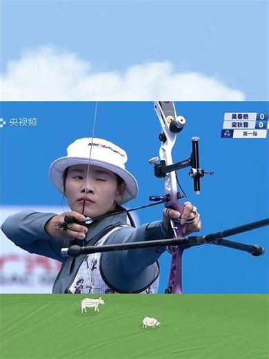 Nika SX limbs for recurve archers#archery #nikaarchery #elongarrow #elongoutdoor