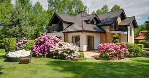 25 Beautiful Shrubs for Front of House That Will Instantly Boost Your Curb Appeal