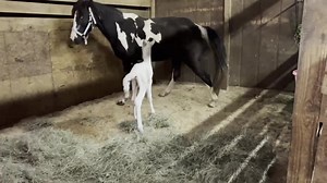 1.1M views · 10K reactions | We had hoped to go live for y’all but...