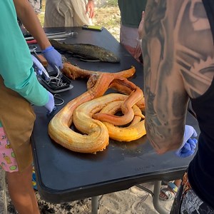 1.3M views · 262 reactions | Farruko on Reels | Facebook