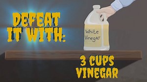 Beware of the Mold Monster! Watch our video and learn how to eliminate it from your appliances. http://bit.ly/2JsLz2g | Sears Home Services