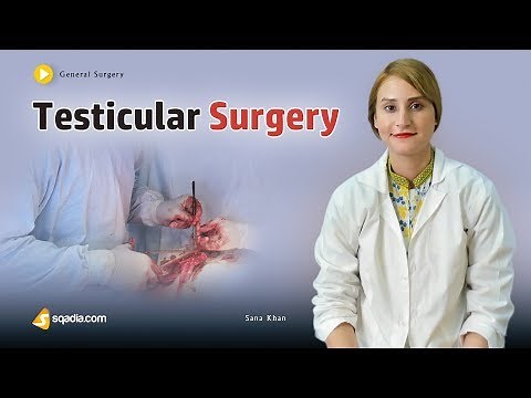Testicular Surgery | Medical Online Education | Video Lectures | Doctors | V-Learning™