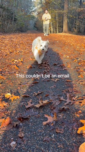 Just some wholesome for your feed | Yahoo