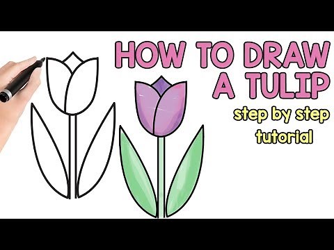 How to draw a tulip tutorial for beginners and kids