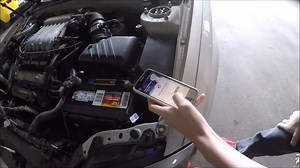 4K views · 25 reactions | These unique LED bulbs are dual purpose, an...