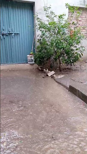 Heavy hailstone|What Are Hailstones? | How Hail Forms & Its Impact