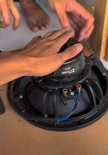 10 Inch Neo Speaker Recommendations for Pro Audio