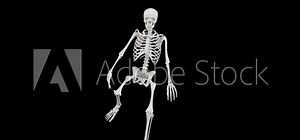 Skeleton dancing - 4k 3D seamless animation of a skeleton dancing - Halloween concept