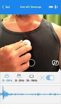 Heartbeat auscultation stethoscope heart sounds 20-1000Hz