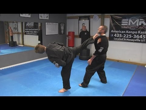 Kenpo Karate Techniques AKKI