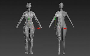 【3dmax人物建模】从box到完整的女性人体模型建模，3dmax零基础布线教程