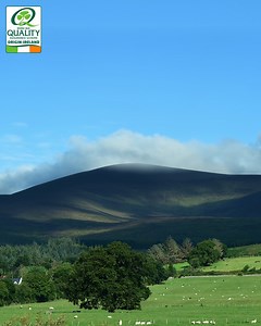 4.7K views | Did you know Ireland’s mild temperature, plentiful rainfall and rich soils make its lush grasslands perfect for grazing cattle and farming  | Irish Beef | Facebook