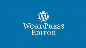 How to Use the WordPress Editor