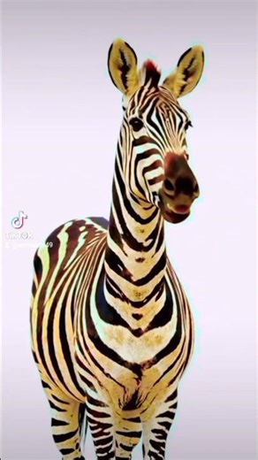 zebra gameszebra gamezebra gamer wild #animals #wildlife #animalworld #gaming 🦓🦄#zebra #zodiac z