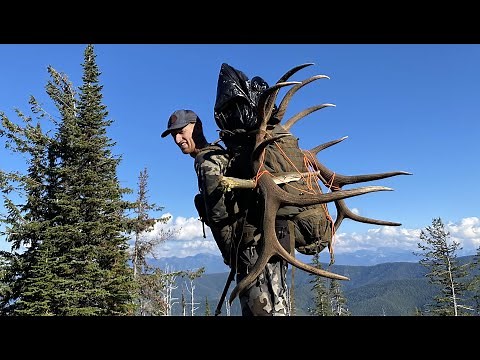 BIG BULLS DIE HARD / Idaho Elk Hunt - Stuck N The Rut 154