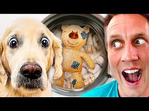 Extreme Try Not To Laugh at Funny Dogs Challenge | Rocky Kanaka