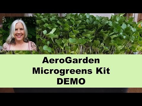 How to Grow AeroGarden Microgreens with the AeroGarden Microgreens Kit | Hydroponic Microgreens