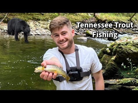 Tennessee Trout Fishing — Beautiful Views and Bear Encounters!