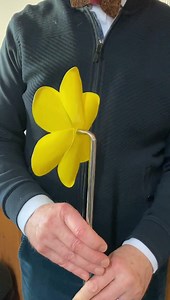 423 reactions · 47 shares | Marie Curie Daffodil We’ve just created this Daffodil for Marie Curie today - hoping to help them raise a huge sum with these. Each one takes a secret message hidden in the stem, remembering someone who’s been lost. This looks even better in person. Sorry about the amateur video clip. | The British Ironwork Centre | Facebook