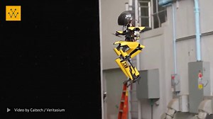 1.4K views · 33 reactions | A bipedal robot that combines walking...