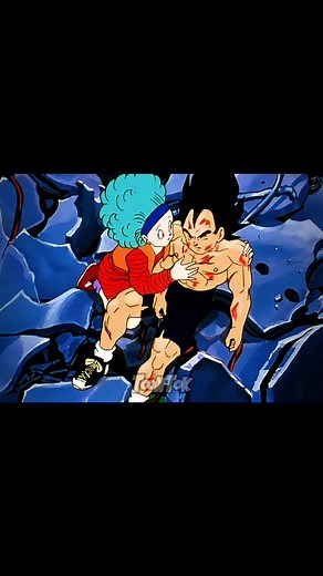 The Prince's Queen: Vegeta and Bulma's Love Story in Dragon Ball Z