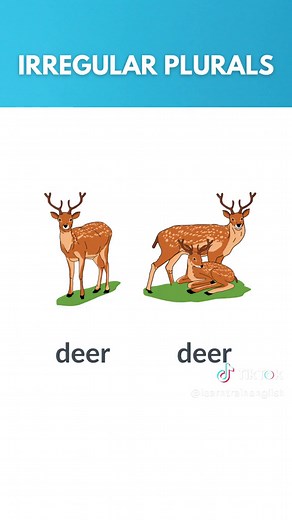 Irregular Plural Nouns in English | Irregular Plurals #esl #irregularnouns #irregularpluralnouns #irregularplurals