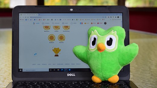 No Farsi on Duolingo? Here Are 3 Great Alternatives - Learn Languages From Home