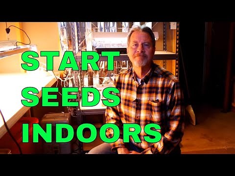 Easy Grow Light Setup (Cheap Too)